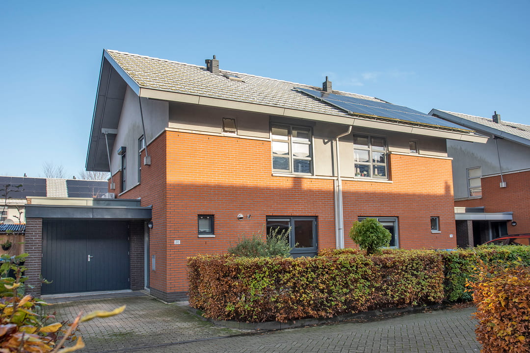 Foto 7 van Satijnvlinder 20