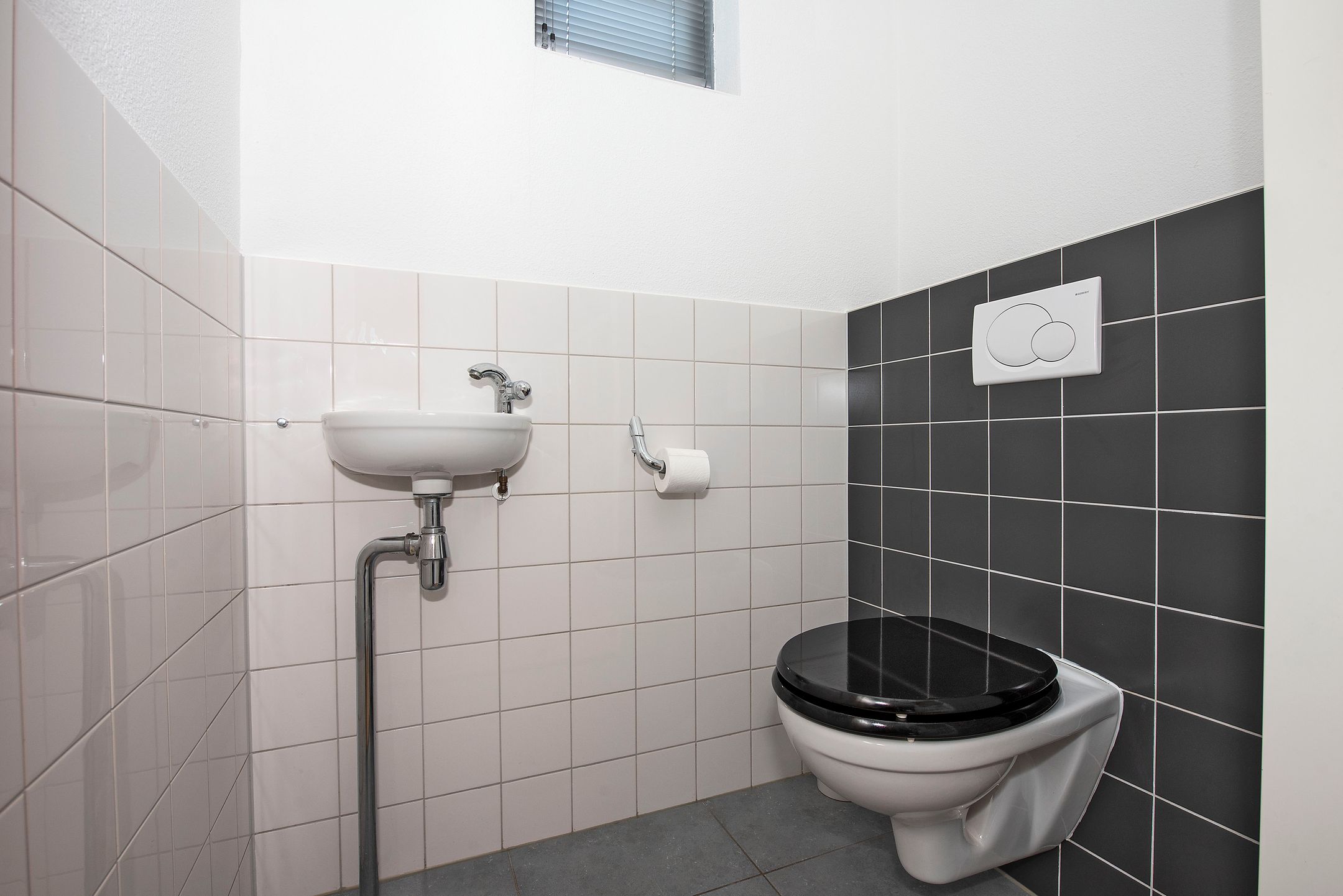 Foto 9 van Satijnvlinder 20