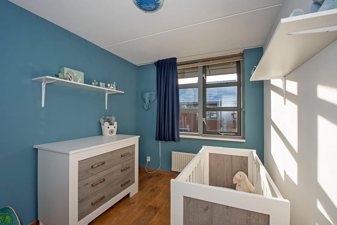 Foto 22 van Satijnvlinder 20