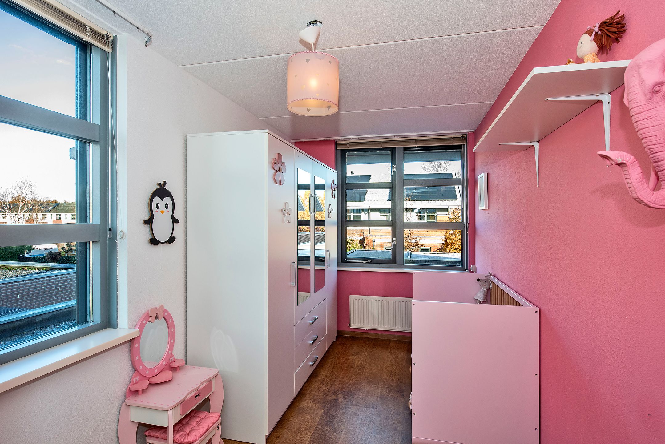 Foto 24 van Satijnvlinder 20