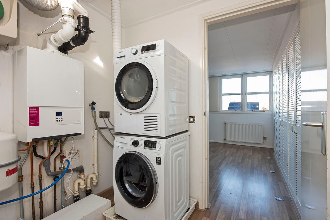 Foto 28 van Satijnvlinder 20