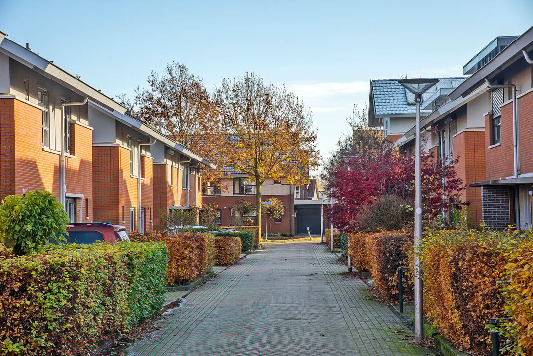 Foto 32 van Satijnvlinder 20