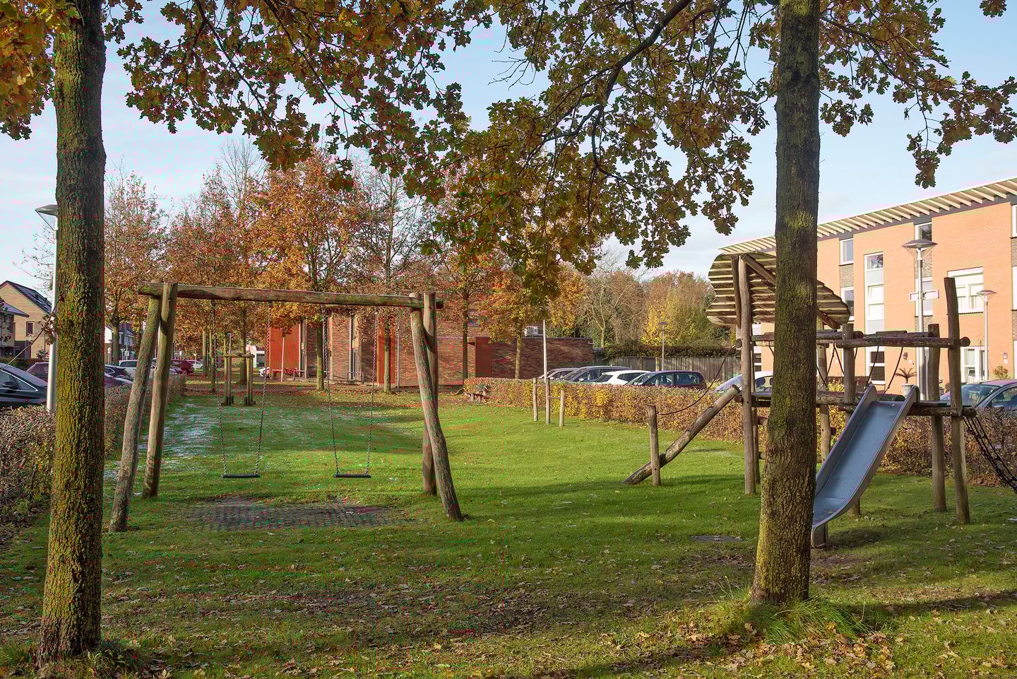 Foto 34 van Satijnvlinder 20