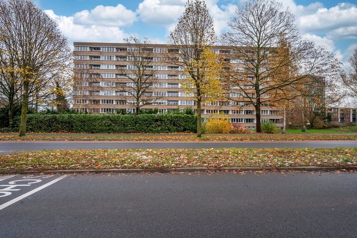 Bekijk foto 34 van Rijnbeekstraat 93