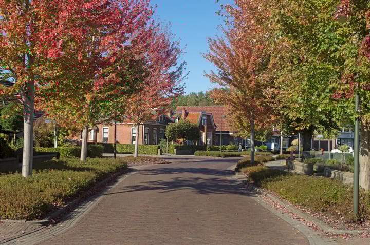 Foto 19 van Trambaan 5