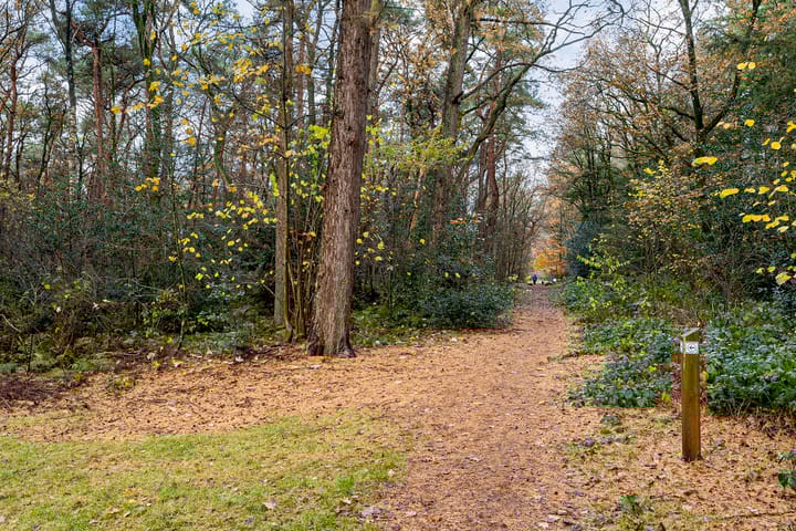 Foto 37 van Valtherlaan 257