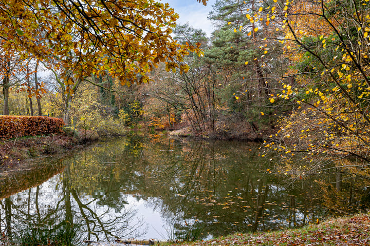 Foto 39 van Valtherlaan 257