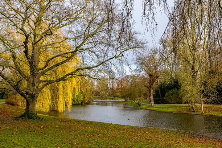 Foto 25 van Veldstraat 2