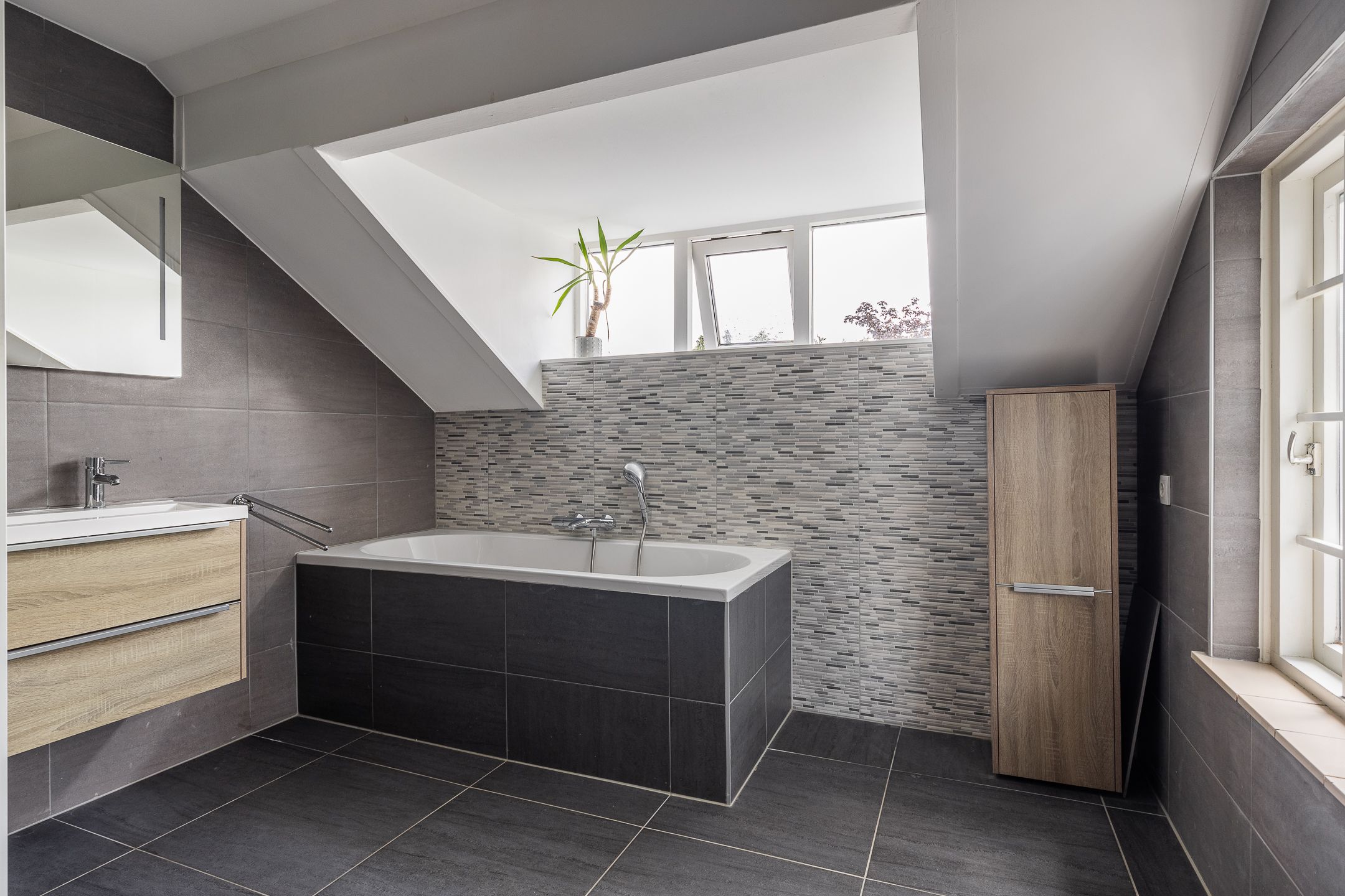 Foto 15 van Boerenbuurt 24