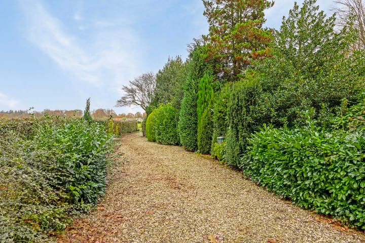 Photo 34 of Zuppeldseweg 4