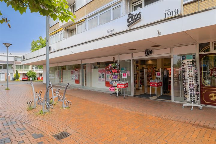 Stadhoudersplein 22-24, Wassenaar