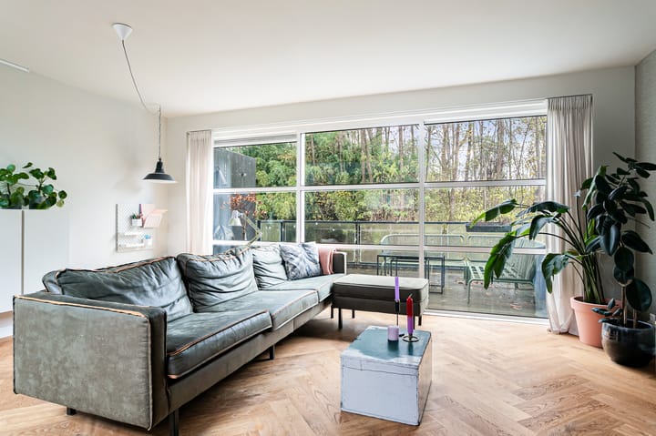 Foto 5 van Diopter 154