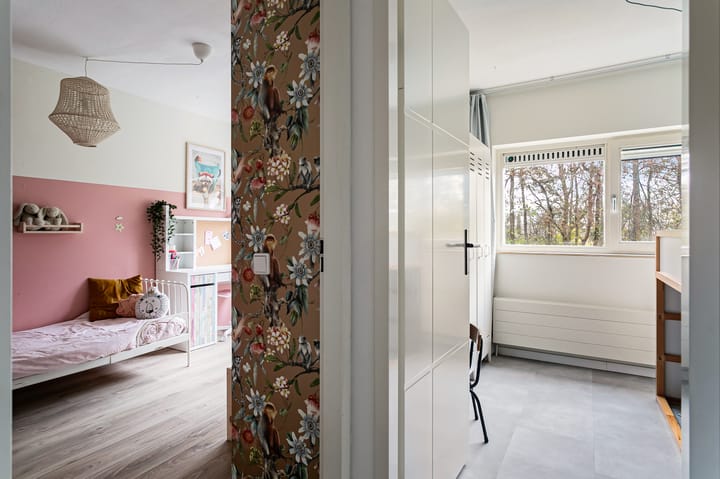 Foto 39 van Diopter 154