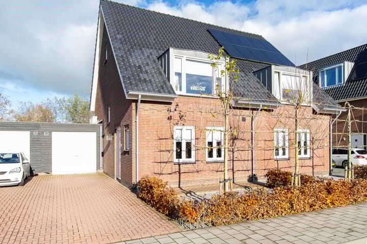 undefined main image