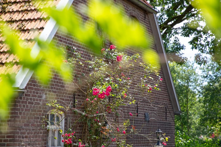 Photo 51 of Boschlaan 8-A