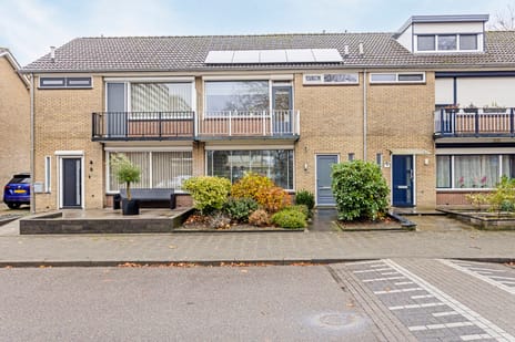 undefined main image