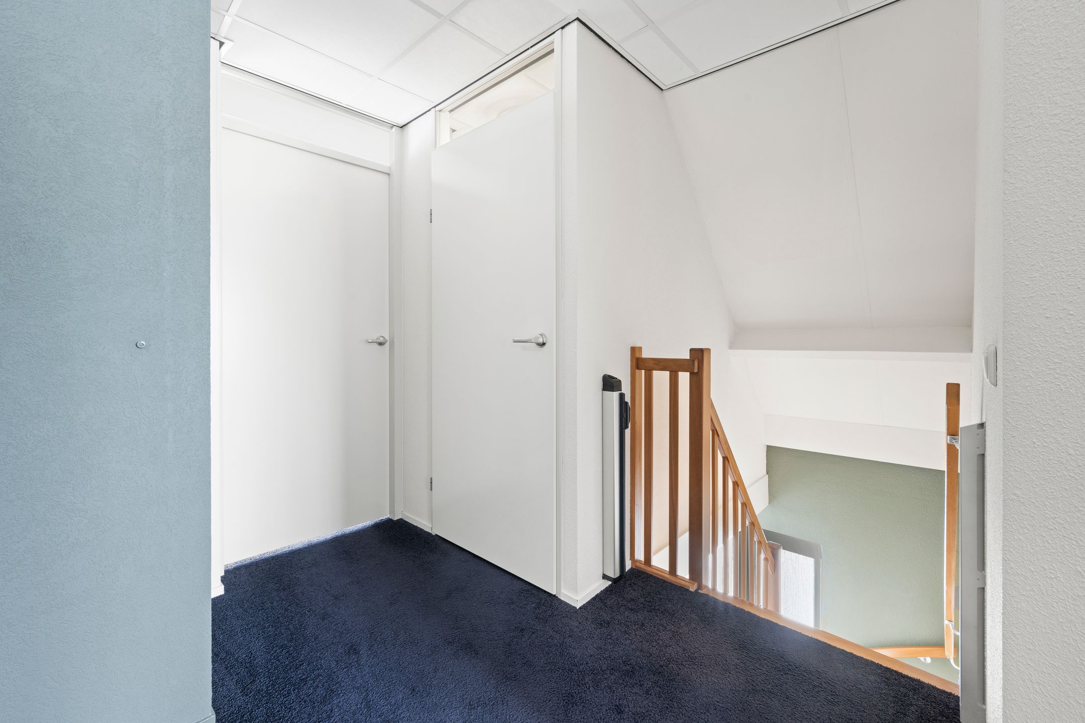 Foto 21 van Valkruid 20