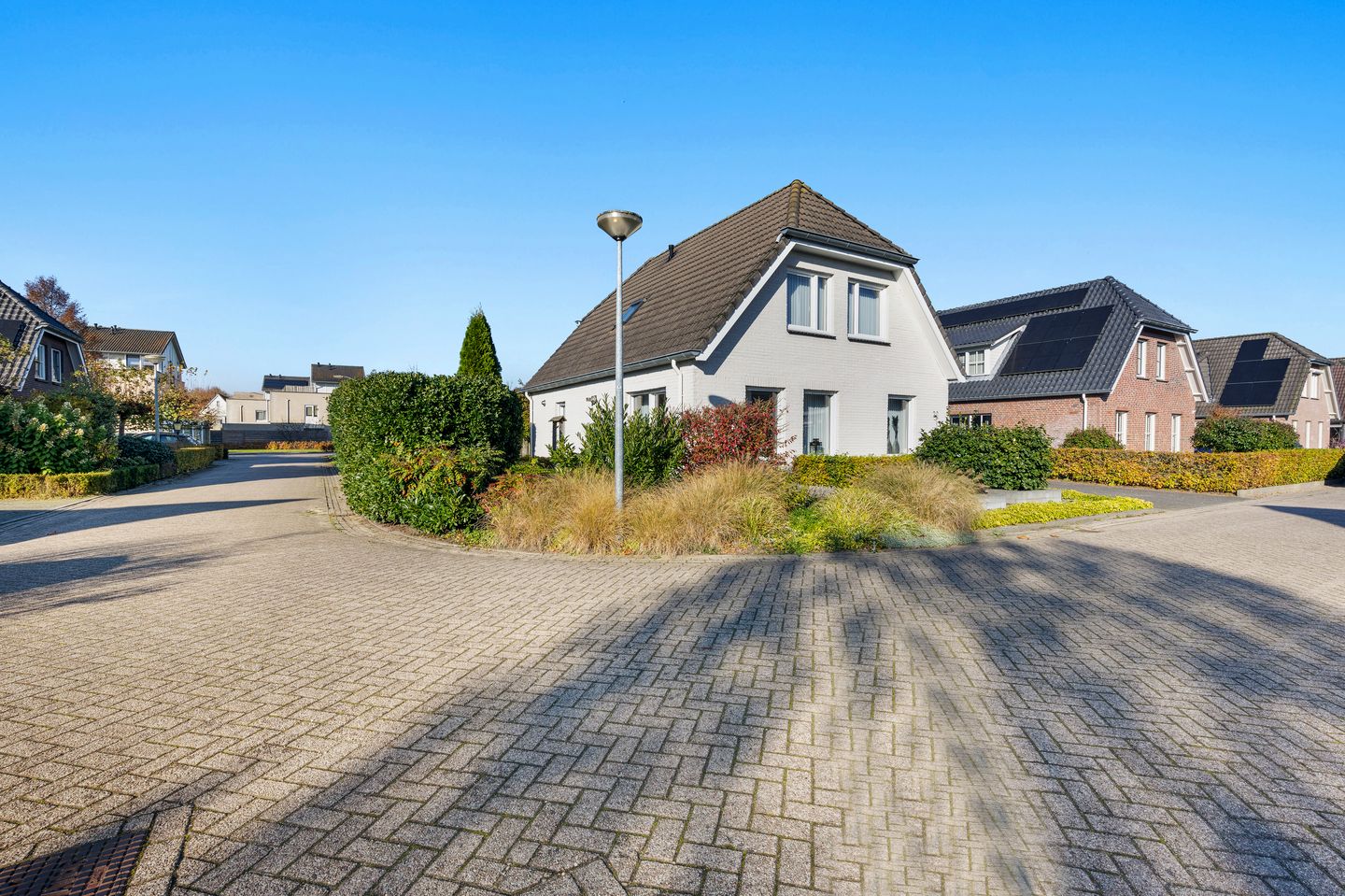 Foto 40 van Valkruid 20