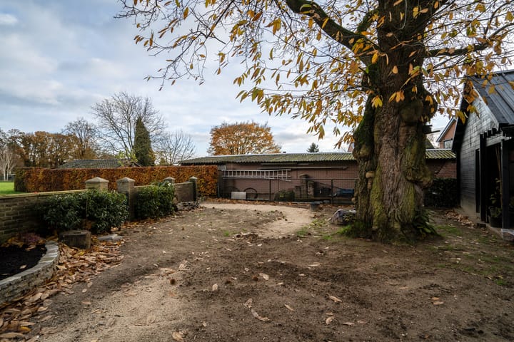 Foto 32 van Diergaarderstraat West 16