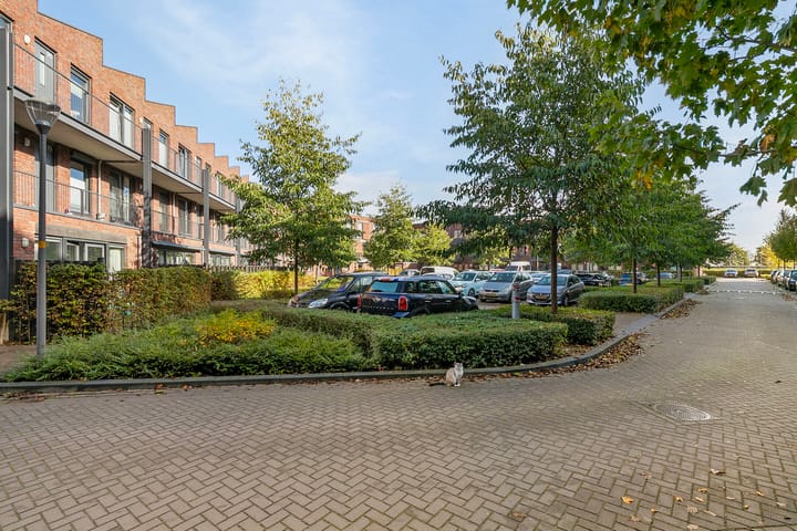 Foto 22 van Enkelspoor 2