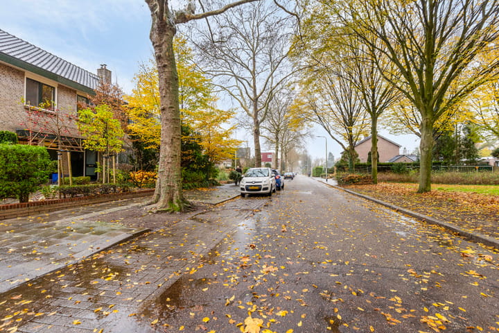 Foto 2 van Angerensteinstraat 9