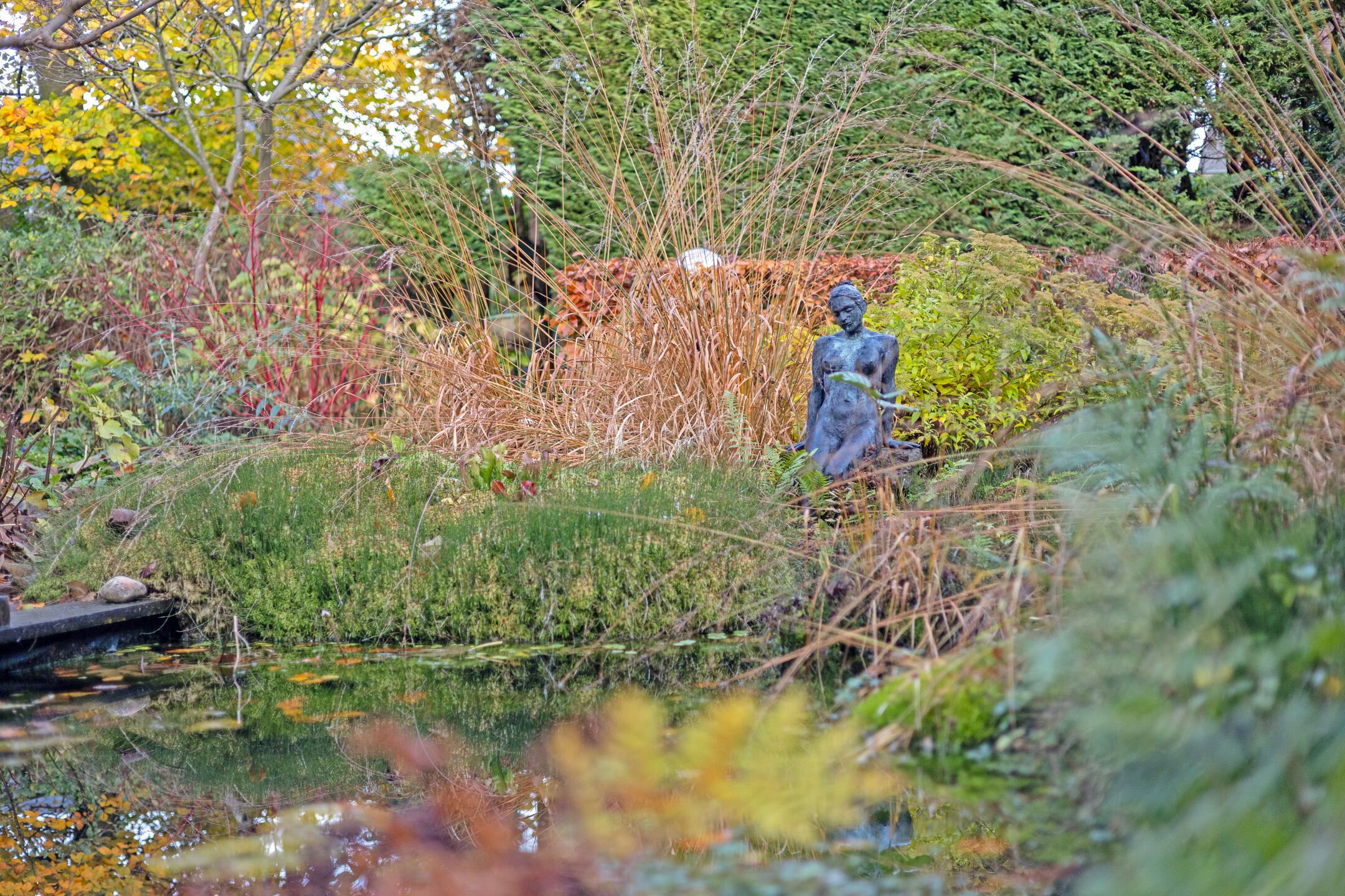 Foto 39 van Meerewijck 35