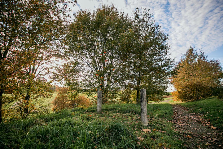 Bekijk foto 44 van Krijtenberg 19