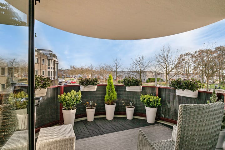 Foto 23 van Kamilleveld 42