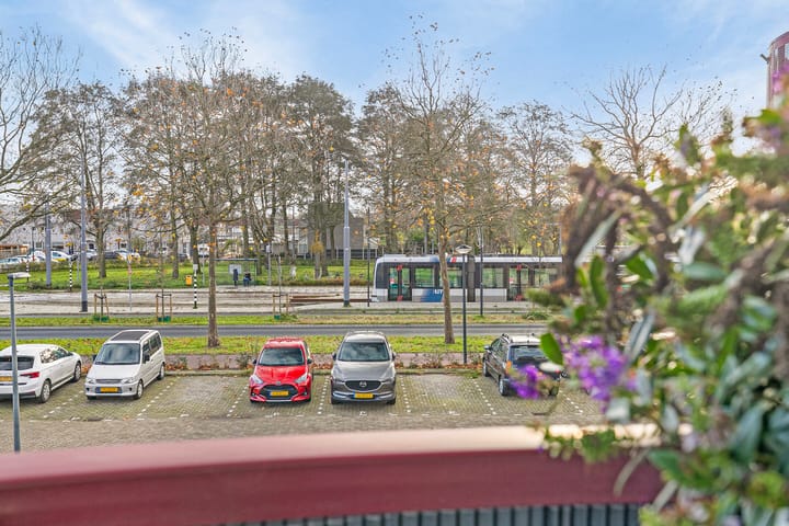 Foto 25 van Kamilleveld 42