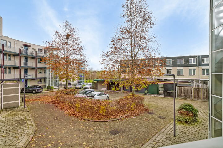 Foto 31 van Kamilleveld 42