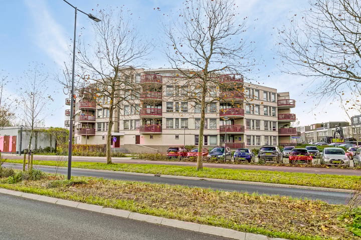 Foto 36 van Kamilleveld 42