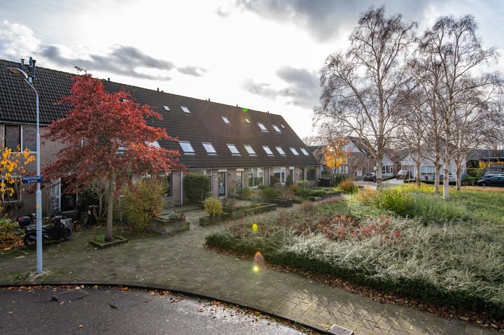 Foto 3 van Muntstraat 84