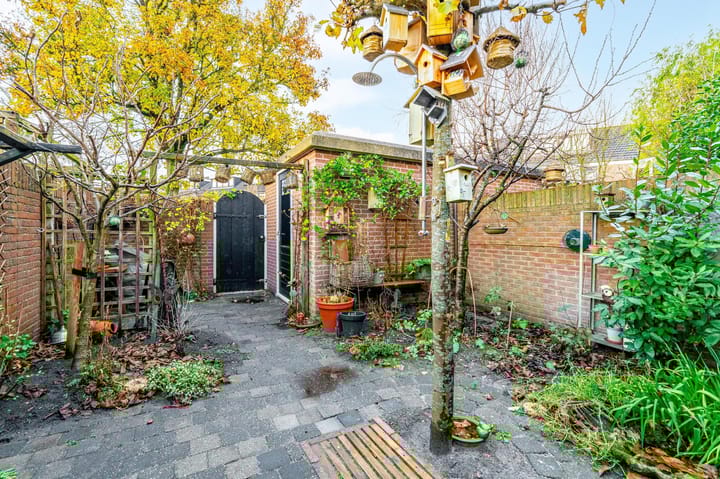 Foto 34 van Hoogtij 58