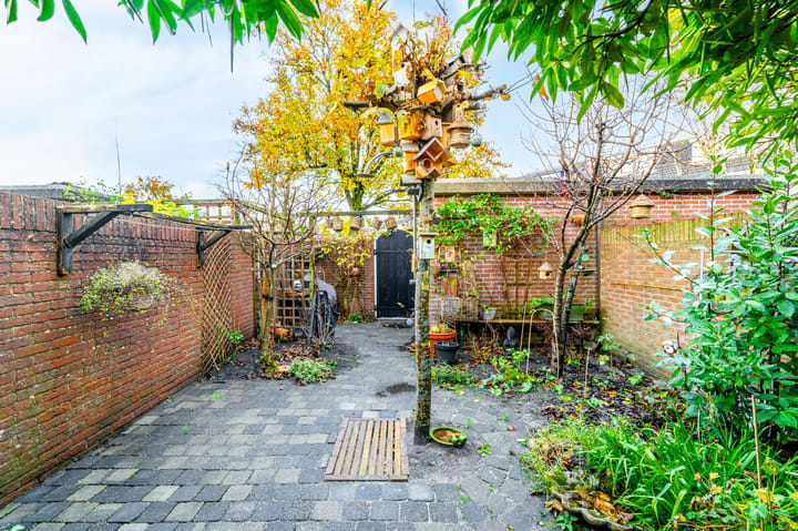 Foto 35 van Hoogtij 58