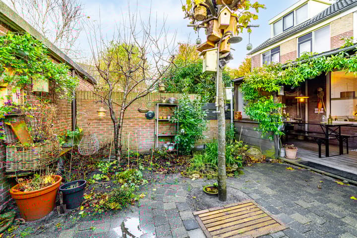 Foto 36 van Hoogtij 58