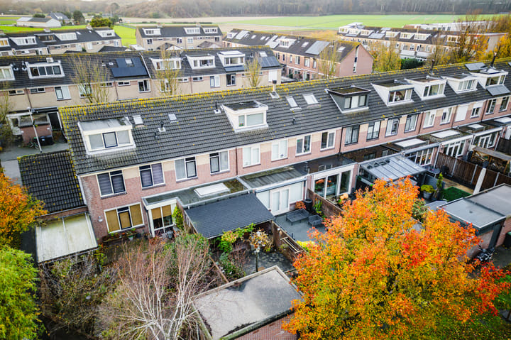 Foto 37 van Hoogtij 58