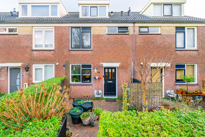 Foto 38 van Hoogtij 58