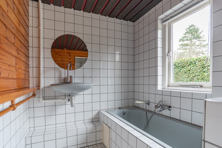 Foto 12 van de Hare 46