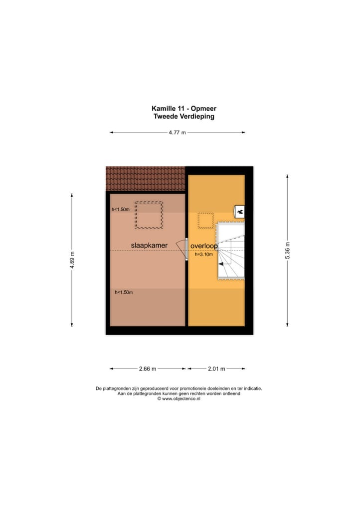 Photo 38 of Kamille 11