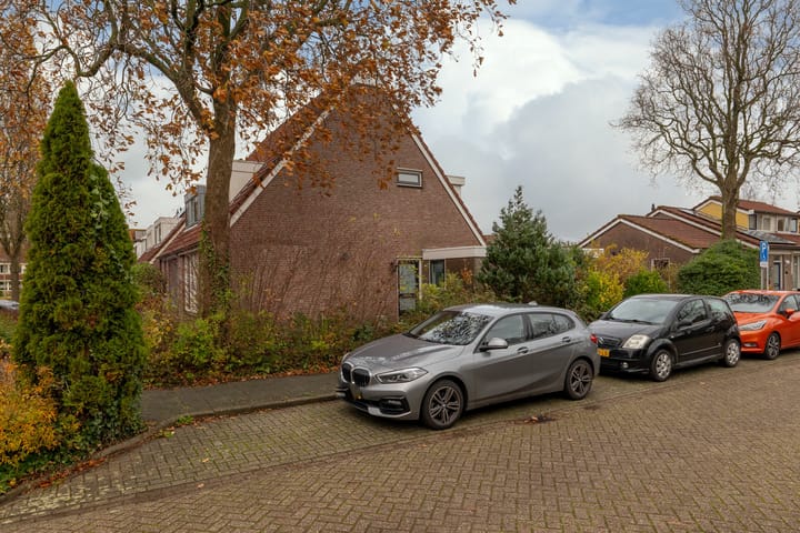 Photo 52 of Kamille 11