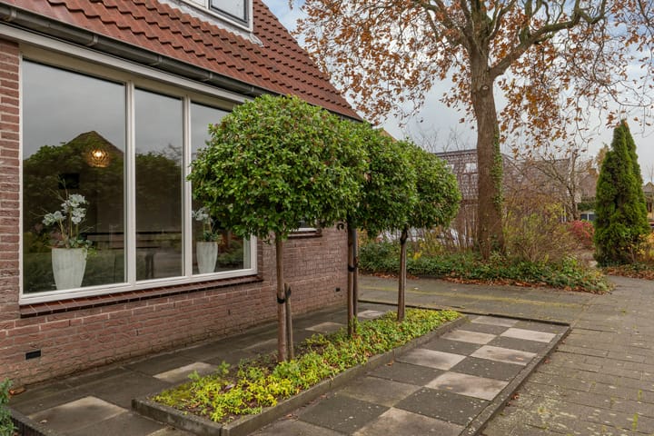 Photo 54 of Kamille 11