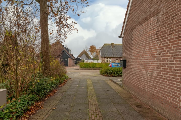 Photo 55 of Kamille 11