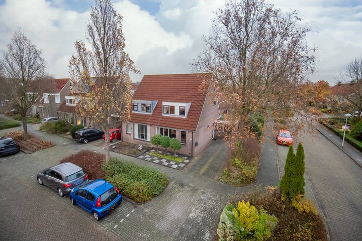 Photo 57 of Kamille 11