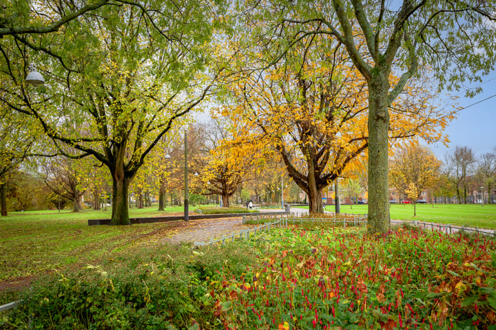 Foto 37 van Wolbrantskerkweg 153