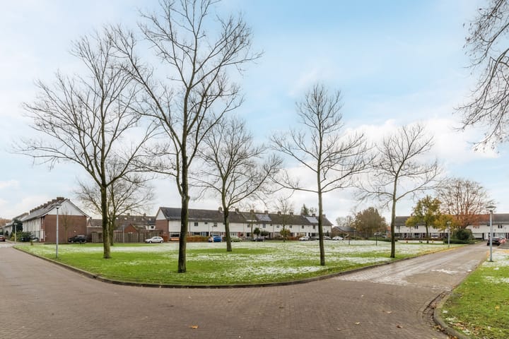 Photo 44 of St. Eloy 25