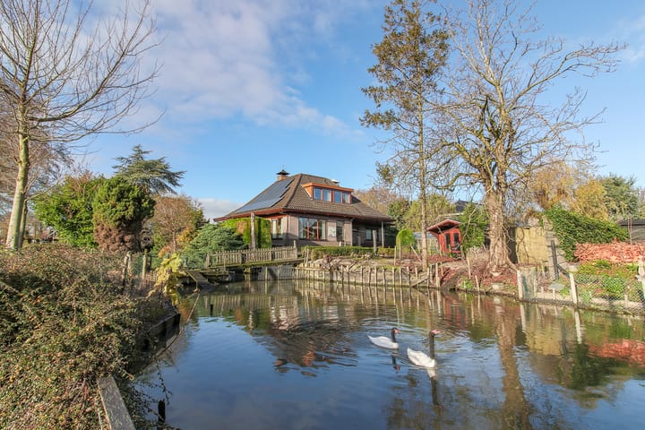 Foto 2 van Kwikstaart 5