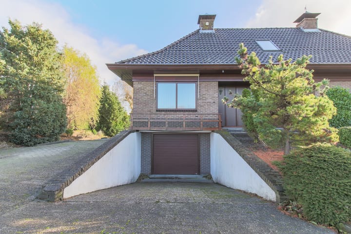 Foto 3 van Kwikstaart 5