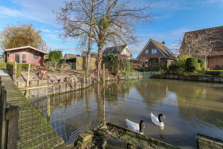 Foto 5 van Kwikstaart 5