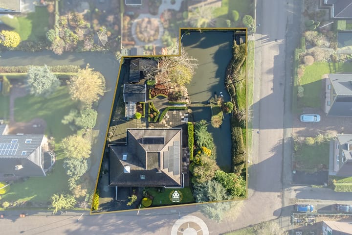 Foto 10 van Kwikstaart 5