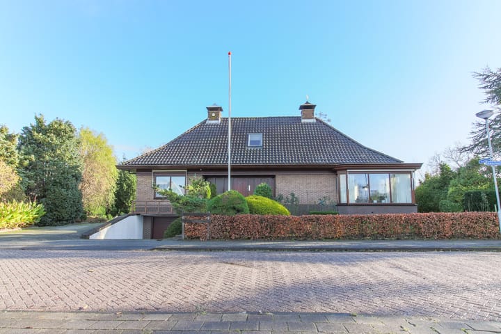 Foto 11 van Kwikstaart 5